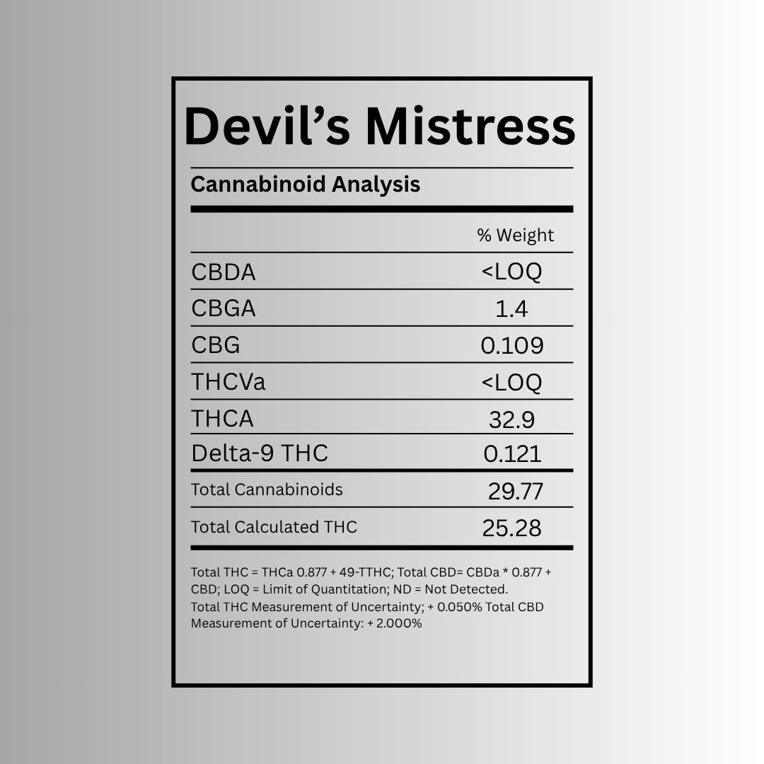 Devil's Mistress