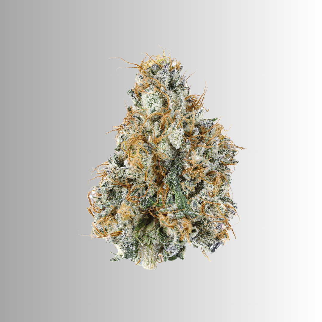 Flower – Gary Payton (1g)