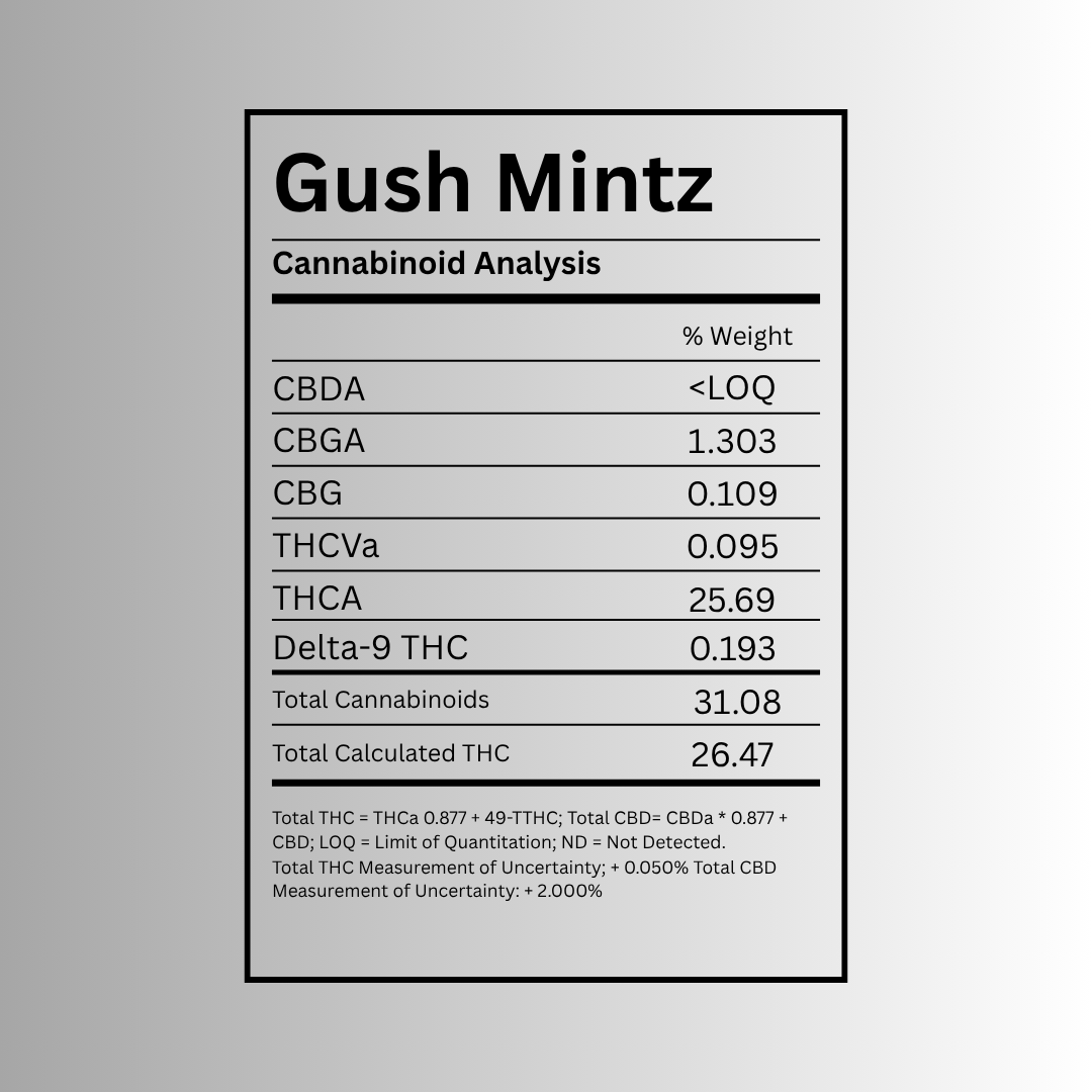 Gush Mintz