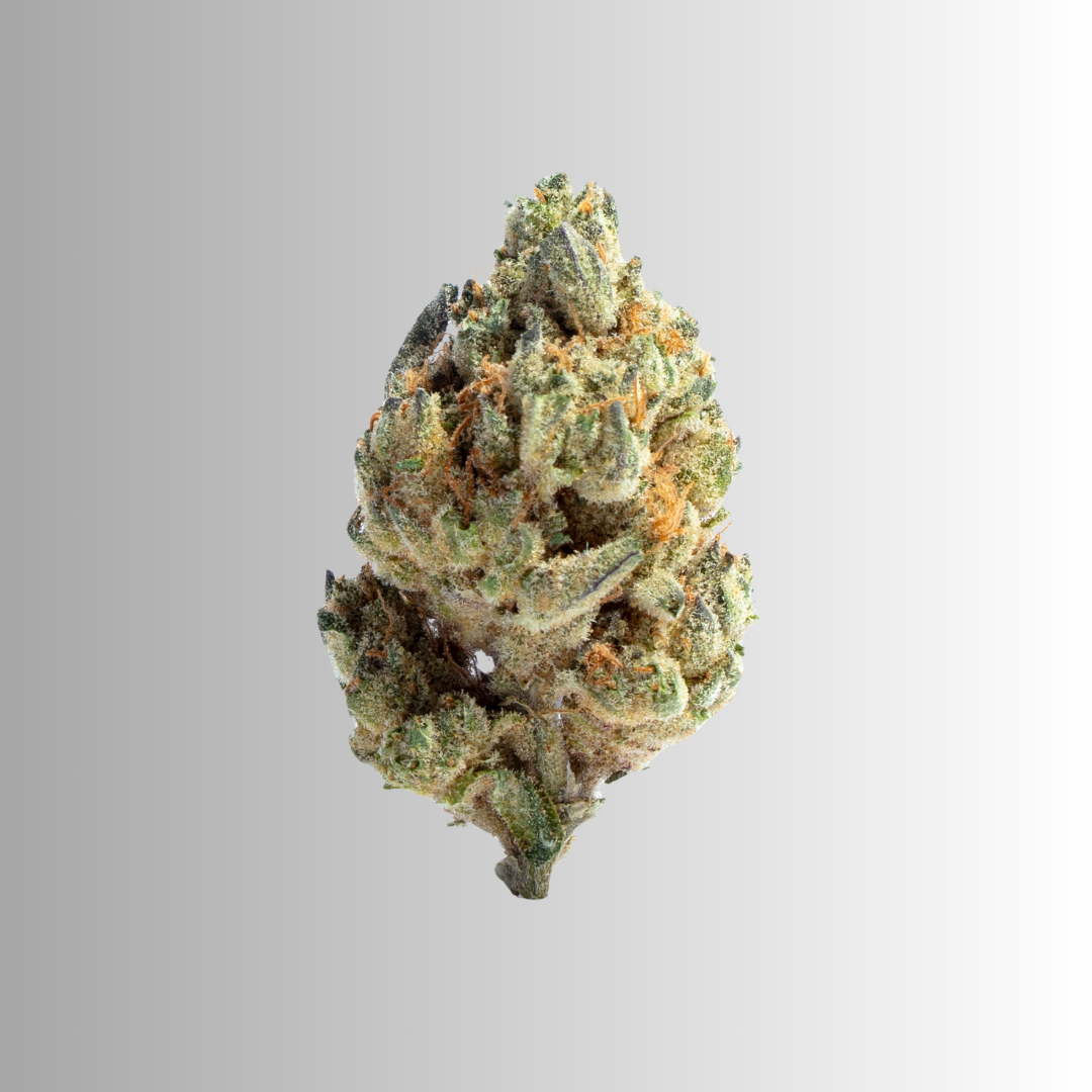 Flower – Watermelon Rush (1g)