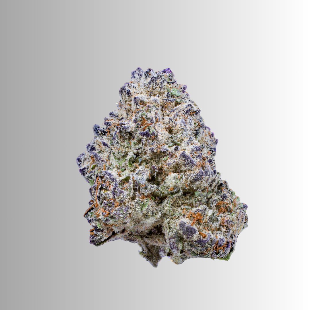 Flower – White Runtz (1g)
